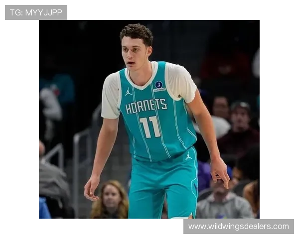 34号秀卡尔克布伦纳表现出色7投5中贡献10分5篮板4盖帽展现即战力